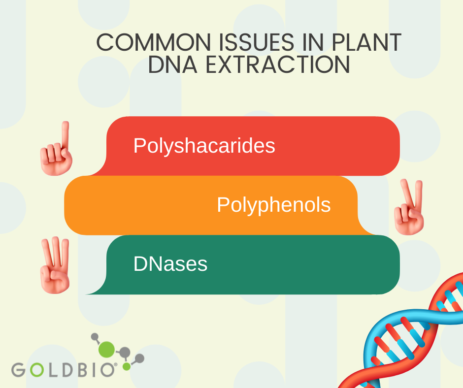 Guide to Plant DNA Extraction GoldBio